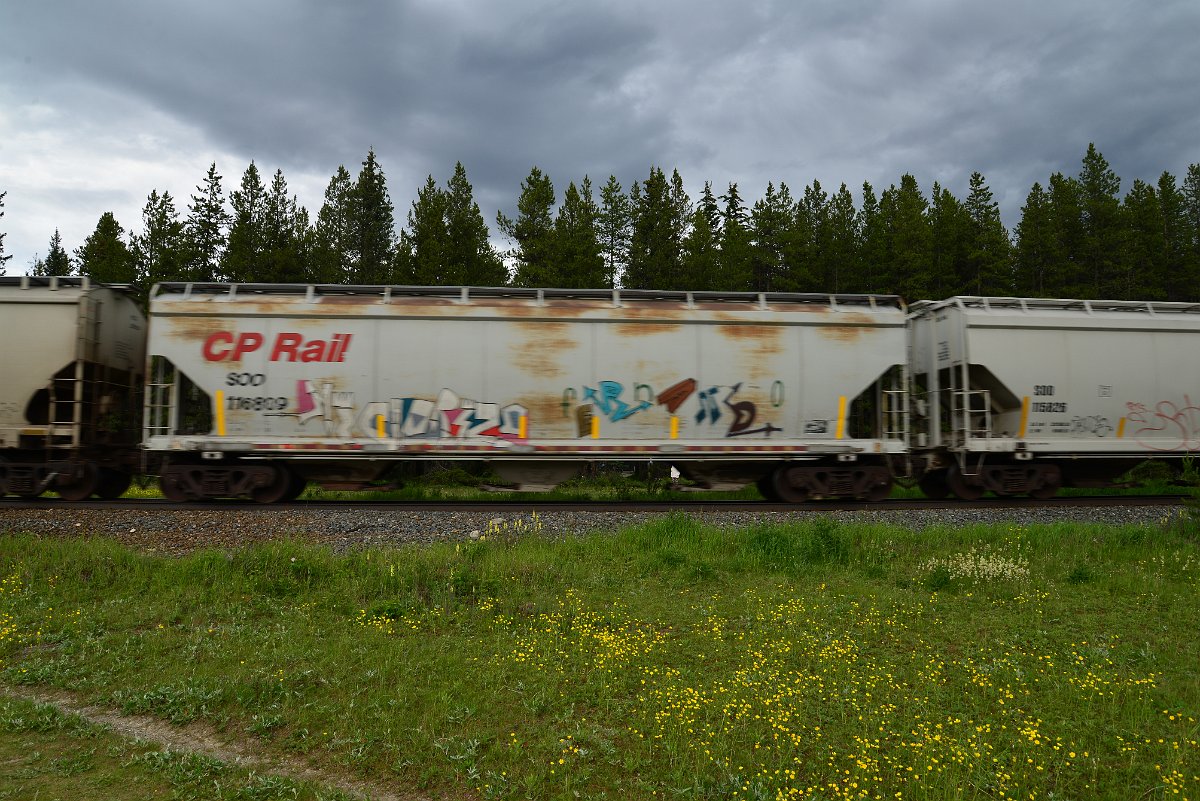 DSC_2886.JPG