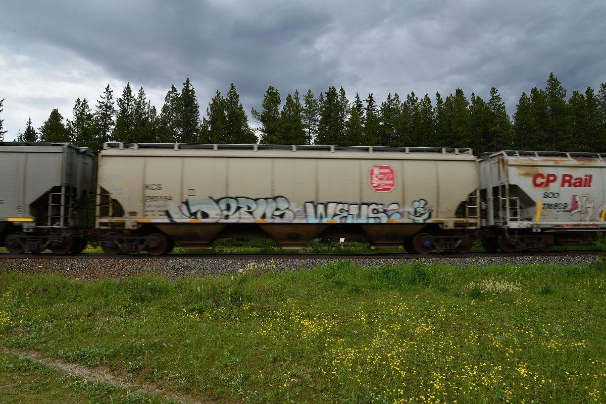 DSC_2887.JPG