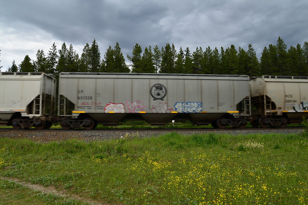 DSC_2888.JPG