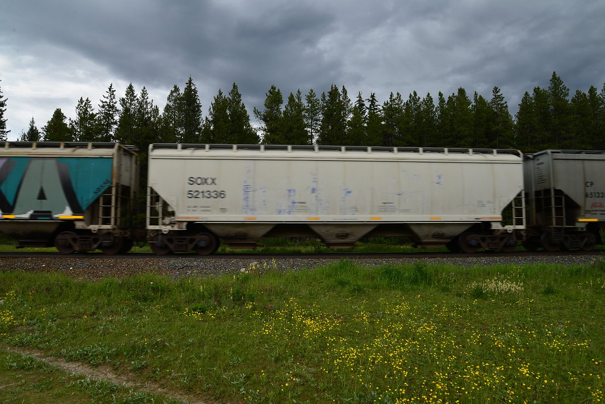 DSC_2889.JPG
