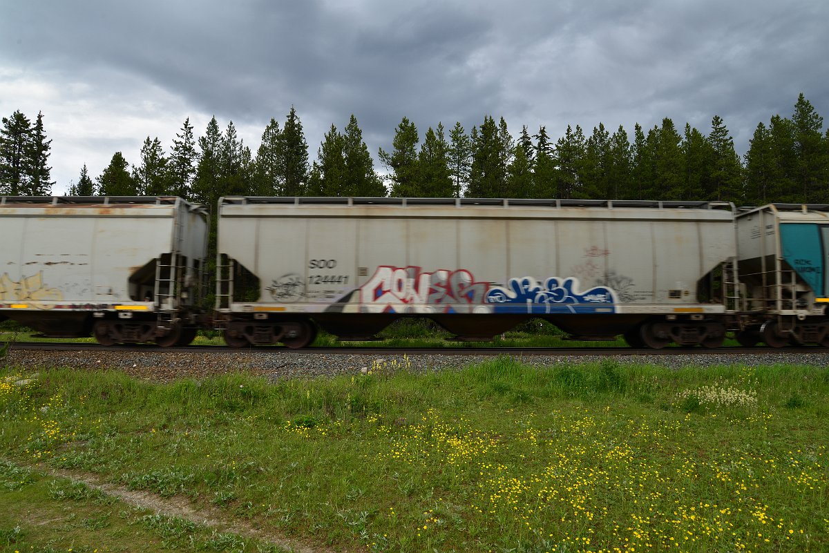 DSC_2891.JPG