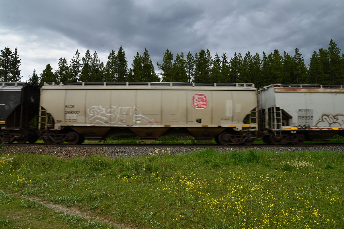 DSC_2893.JPG