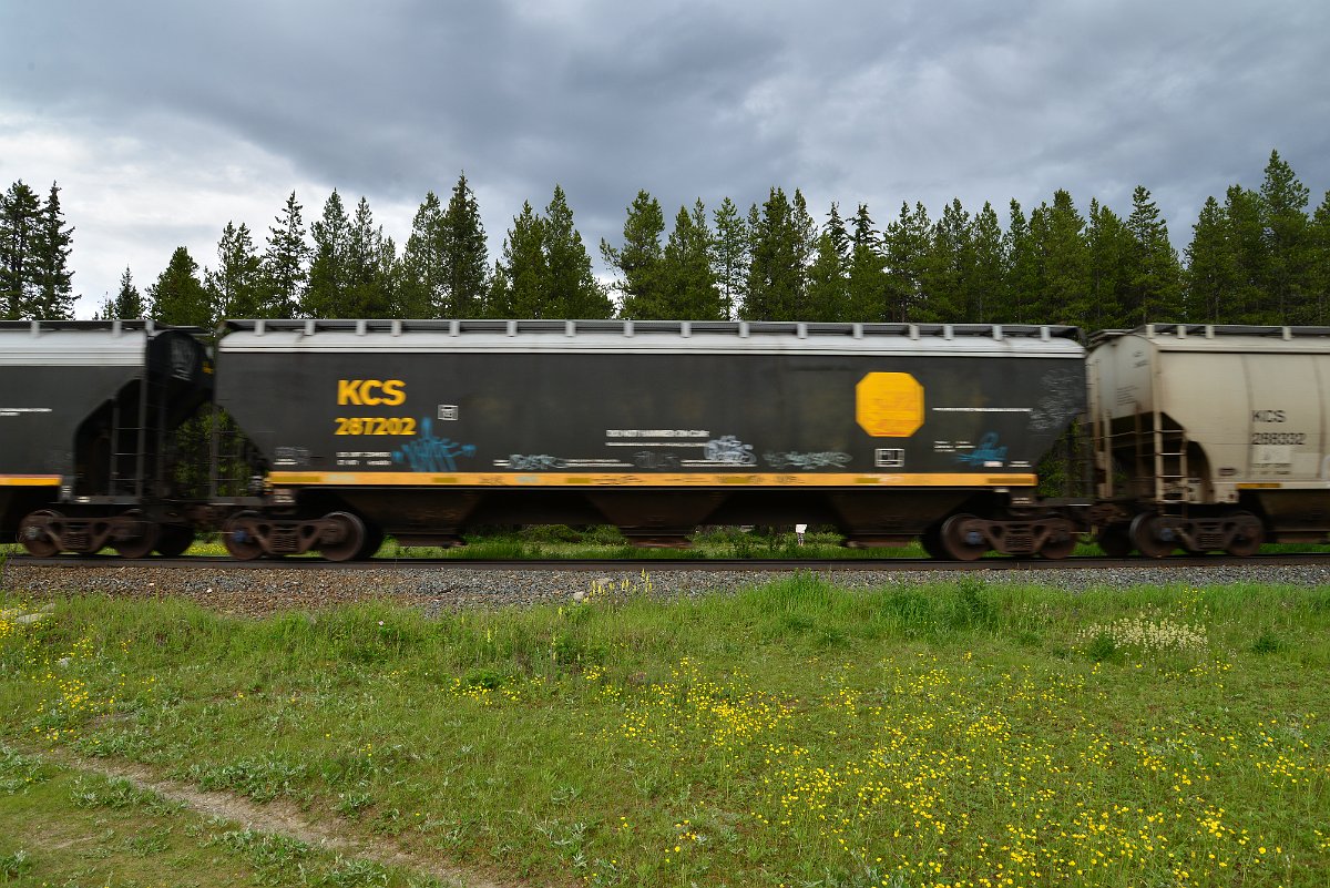 DSC_2894.JPG