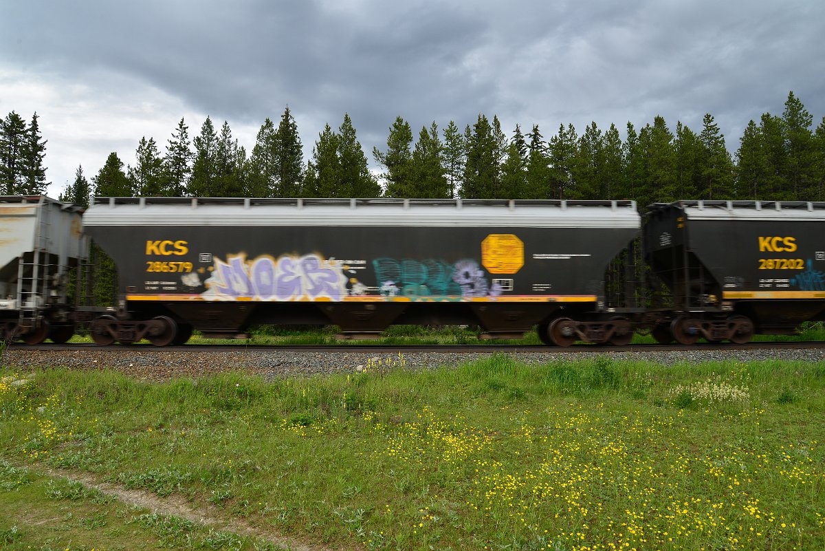 DSC_2895.JPG
