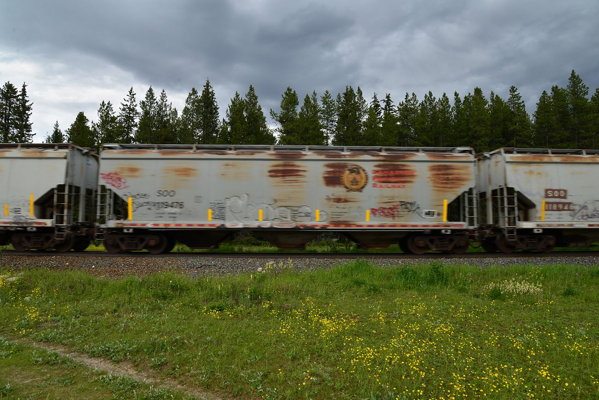 DSC_2897.JPG