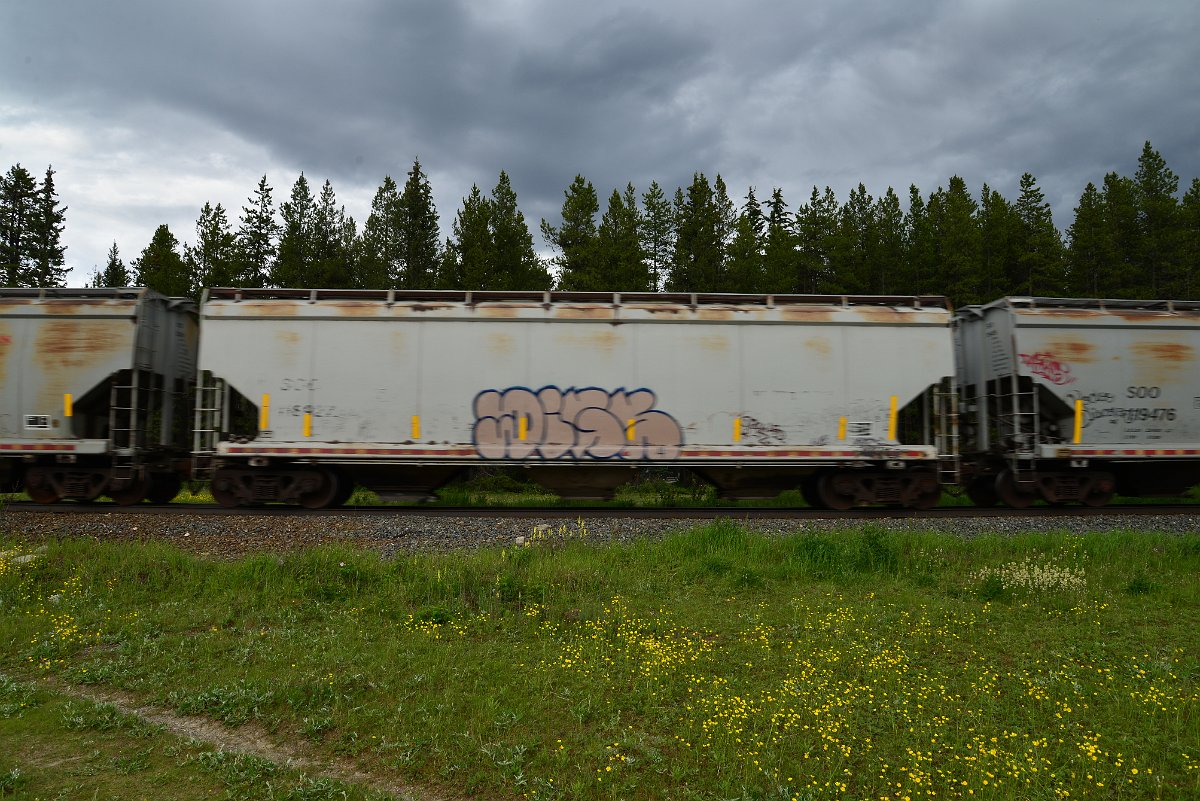 DSC_2898.JPG