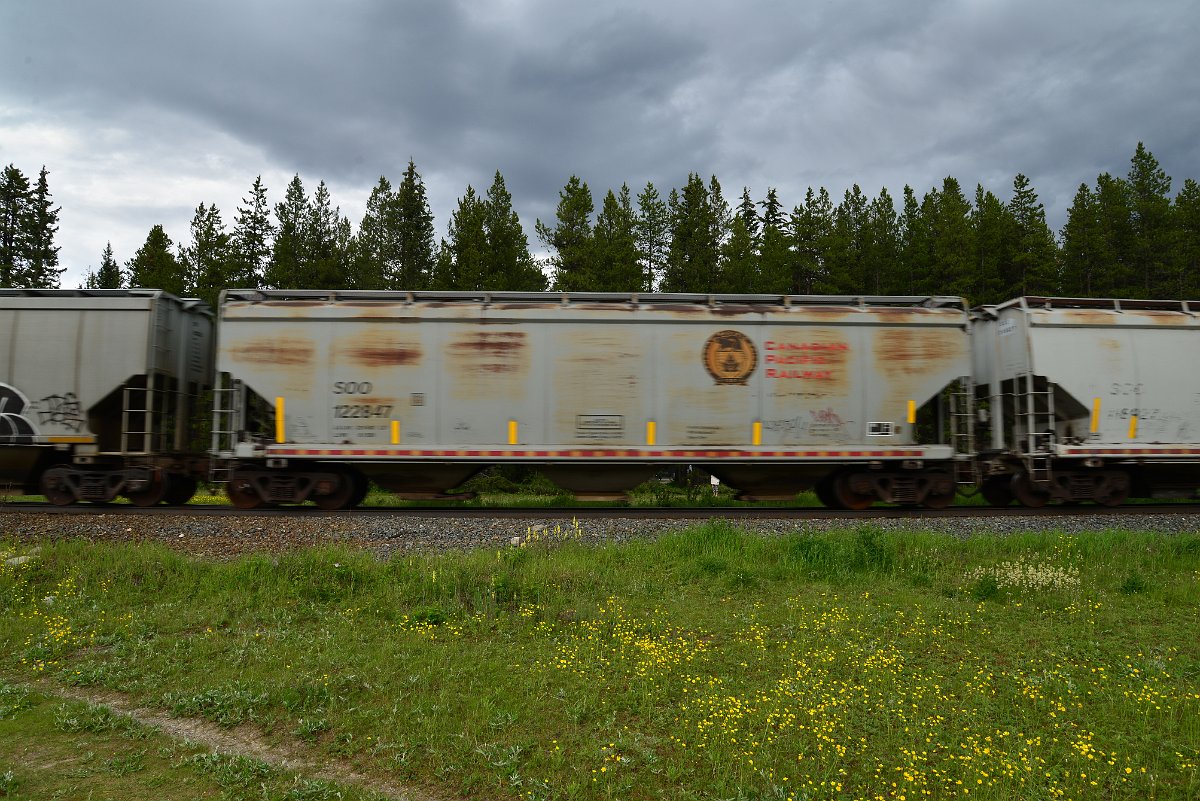 DSC_2899.JPG