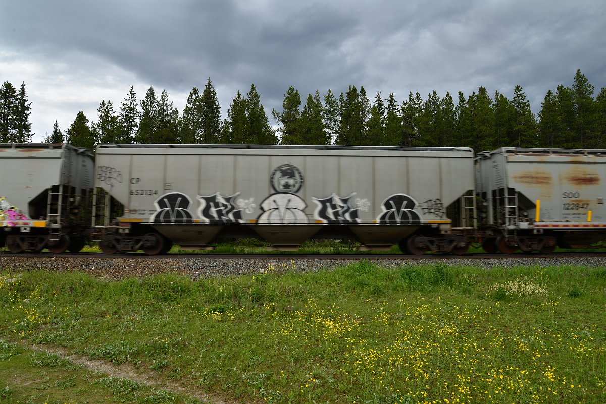 DSC_2900.JPG