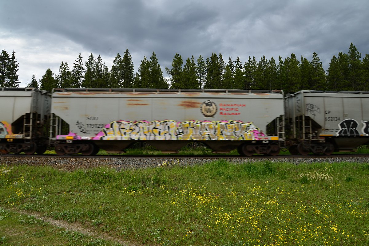 DSC_2901.JPG