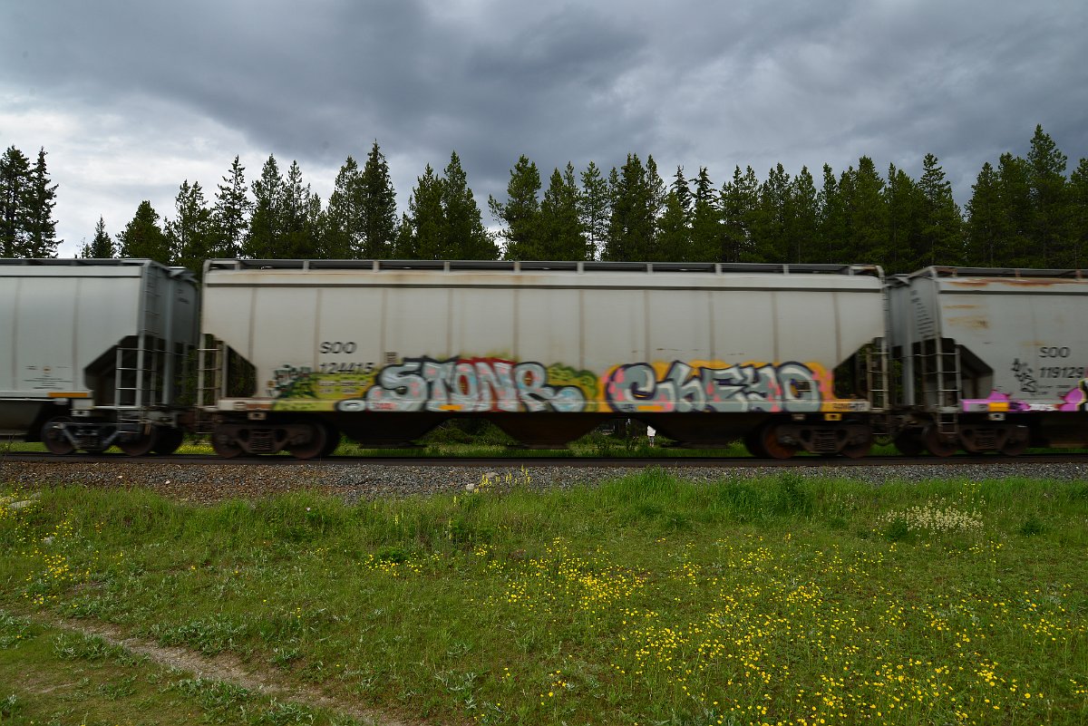 DSC_2902.JPG