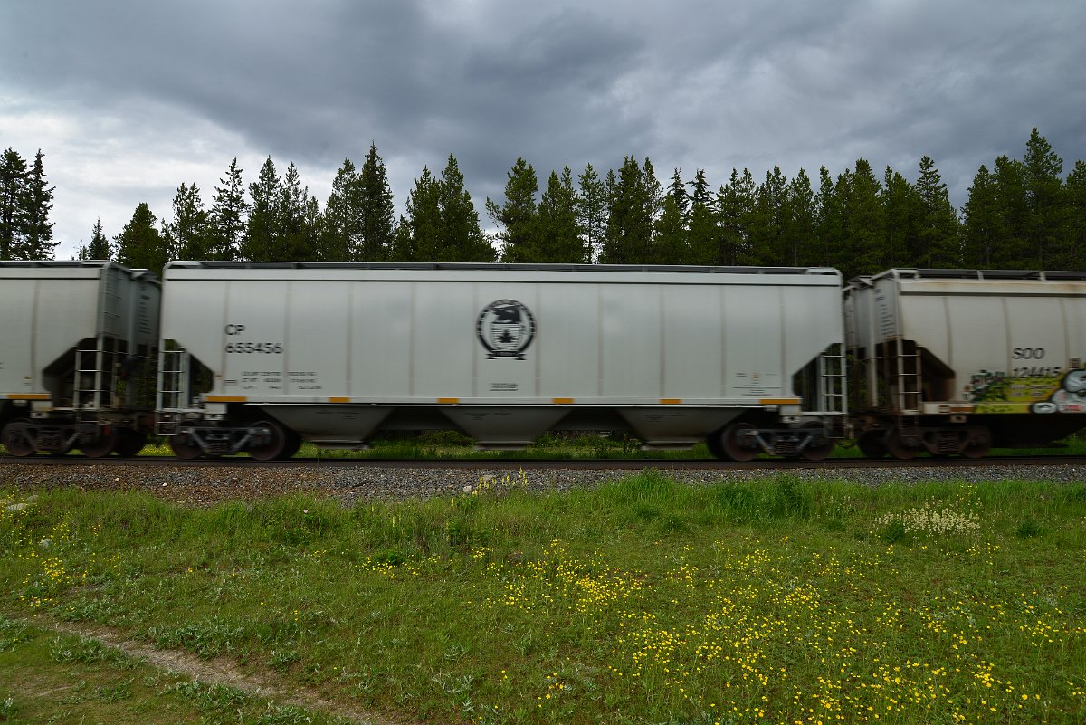 DSC_2903.JPG