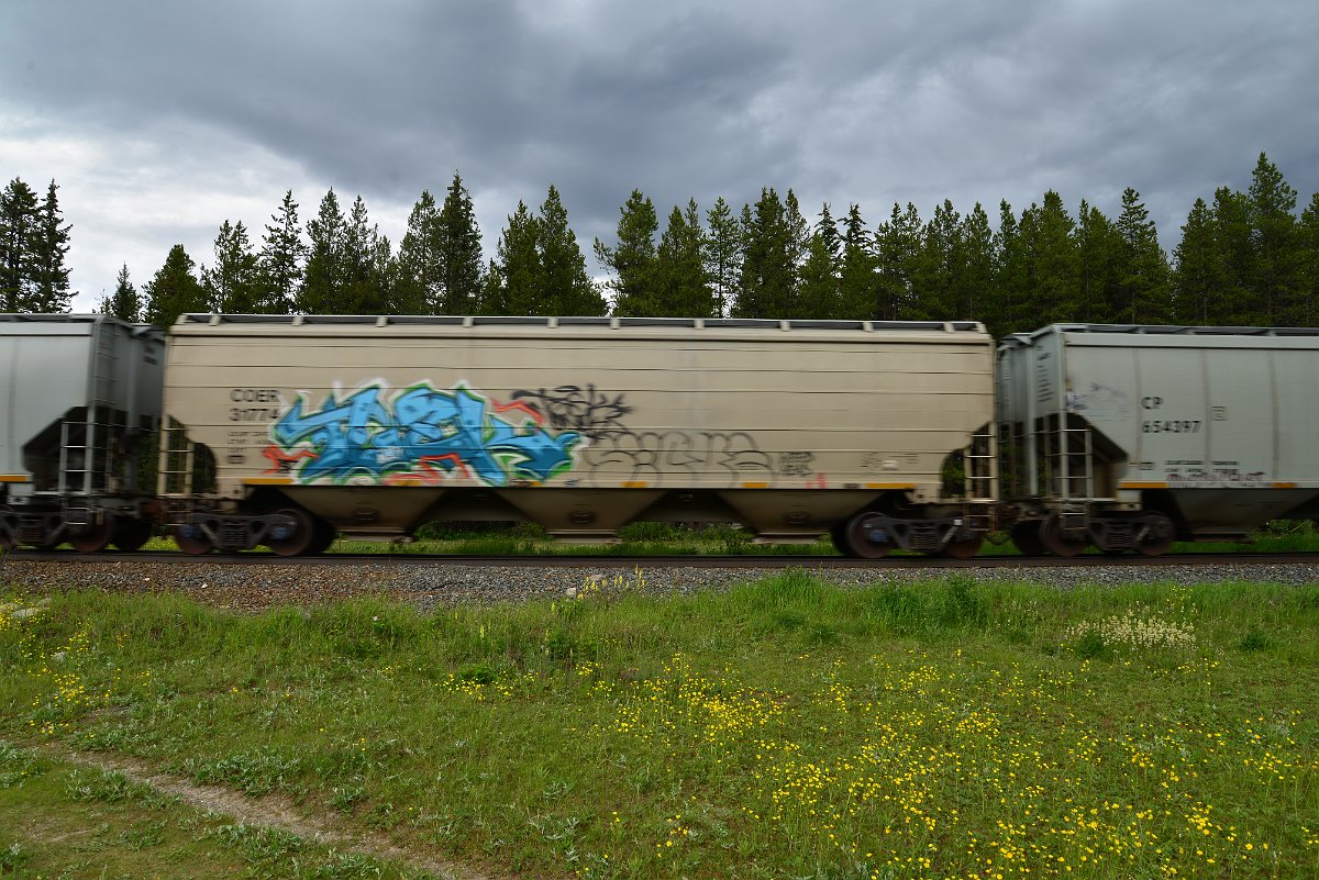 DSC_2905.JPG