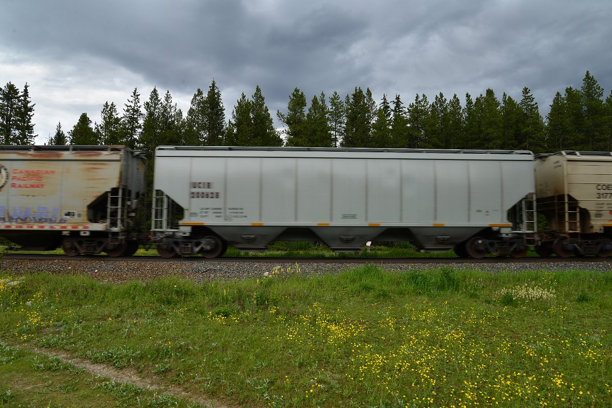 DSC_2906.JPG