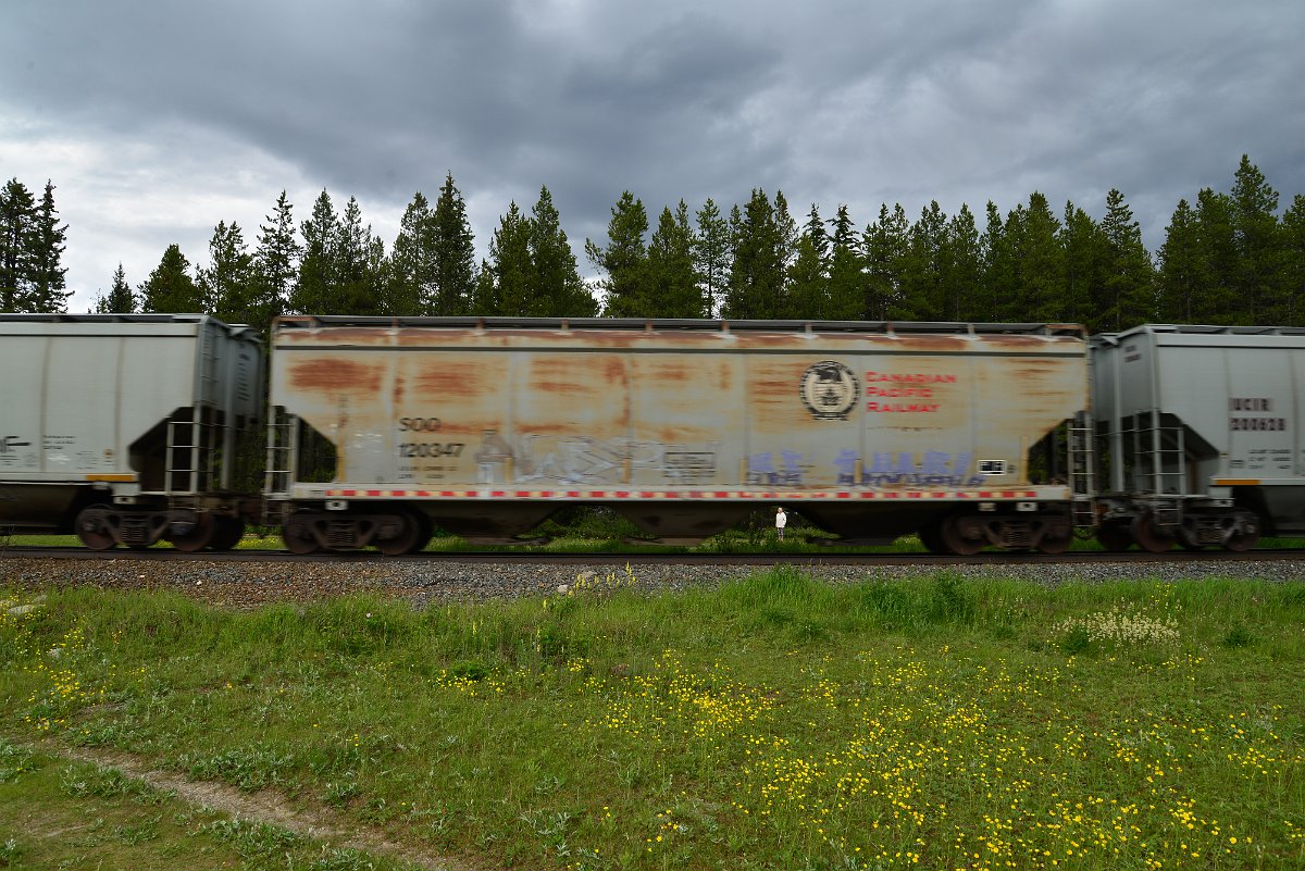 DSC_2907.JPG