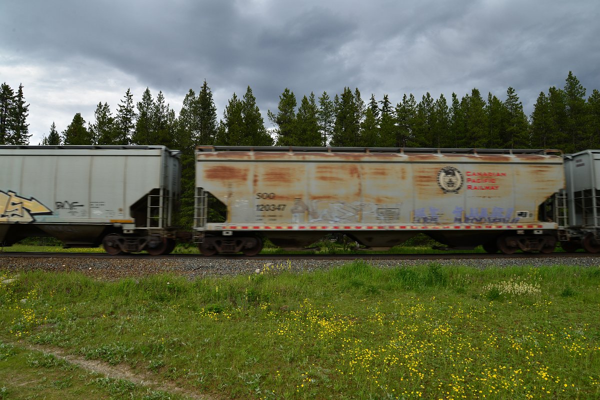 DSC_2908.JPG