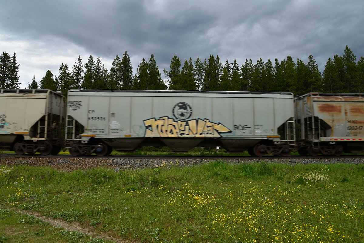 DSC_2909.JPG