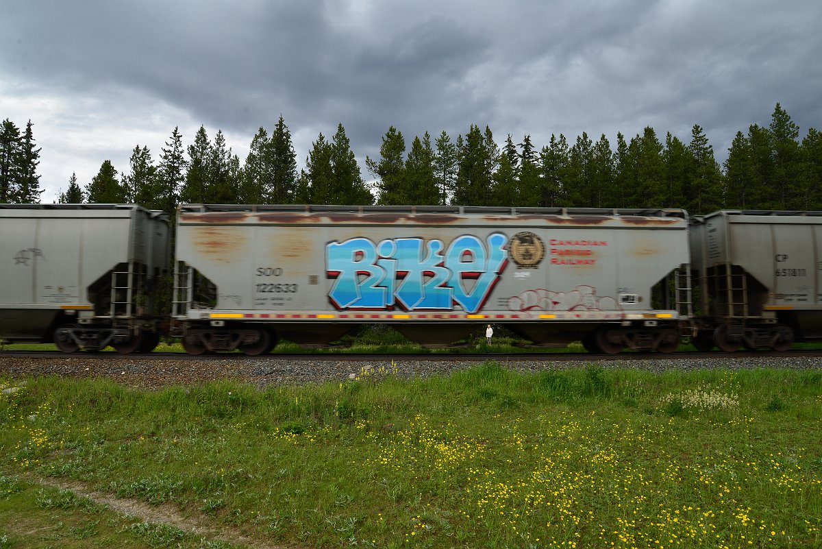 DSC_2912.JPG