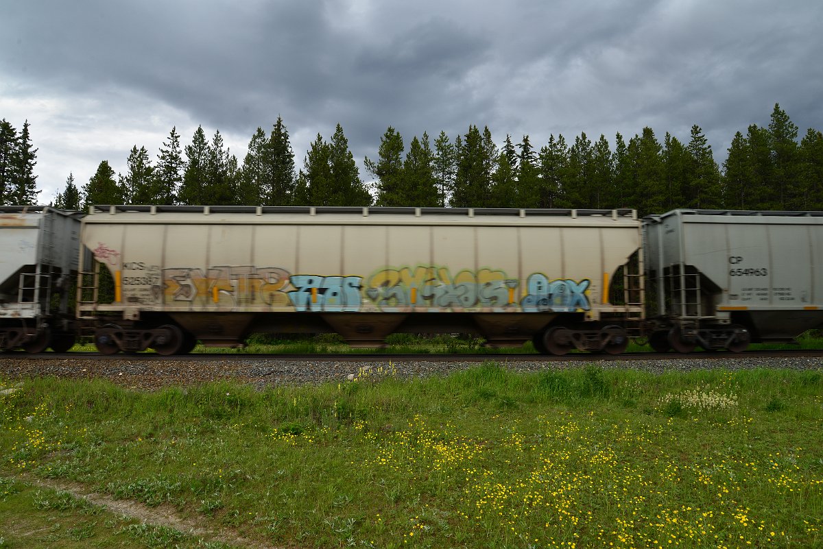 DSC_2914.JPG