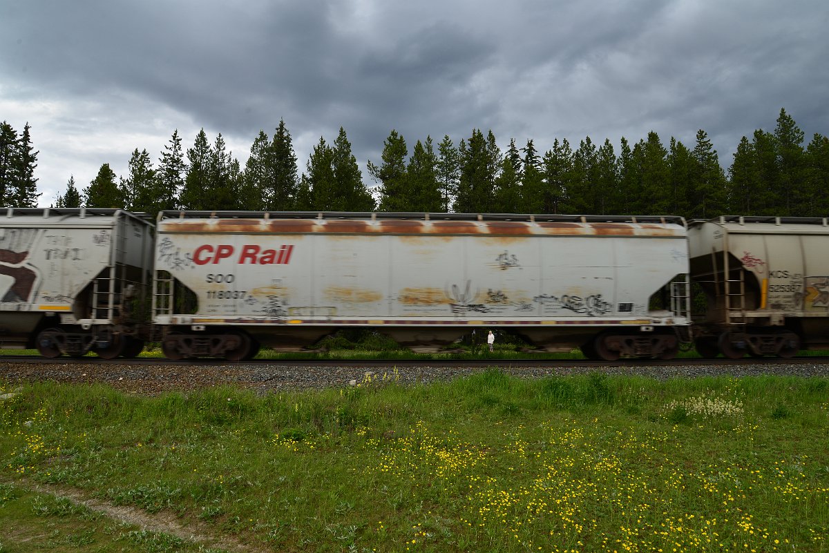 DSC_2915.JPG