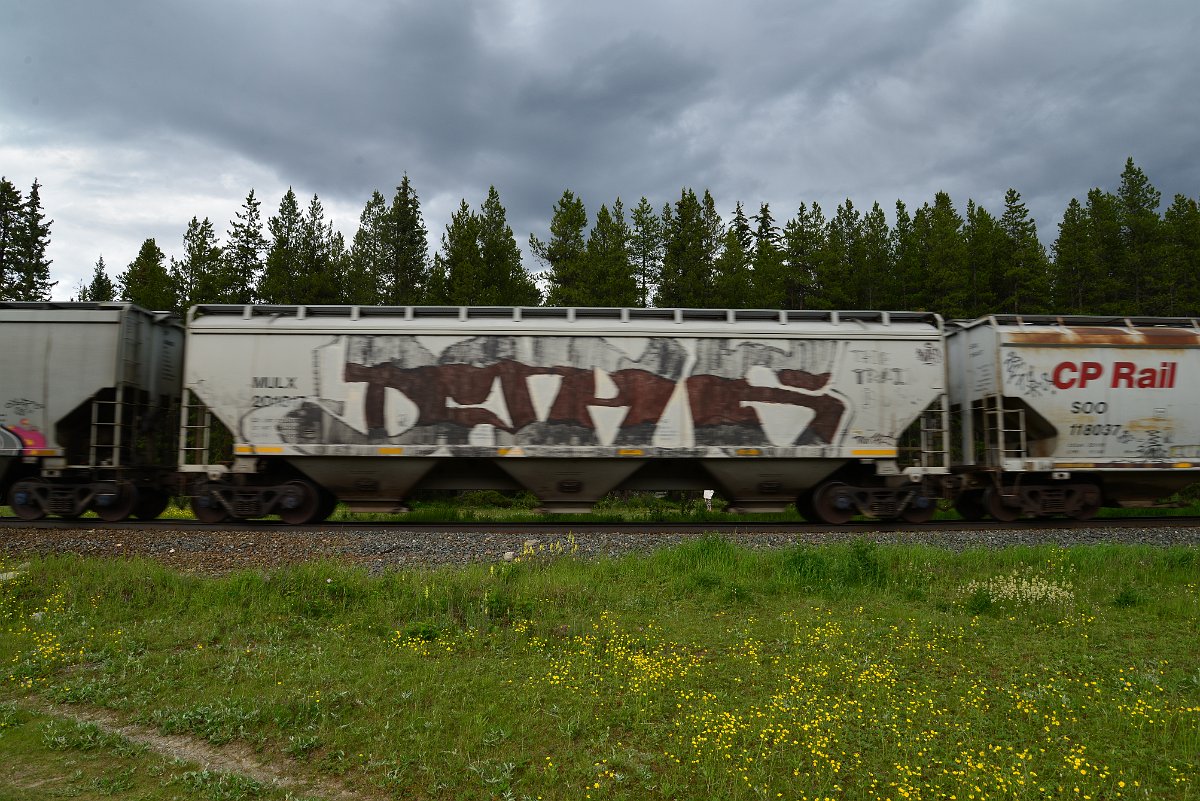 DSC_2916.JPG
