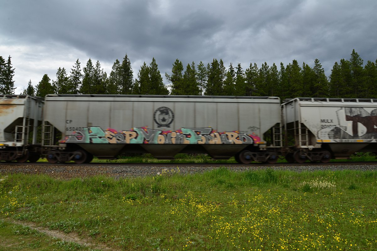 DSC_2917.JPG