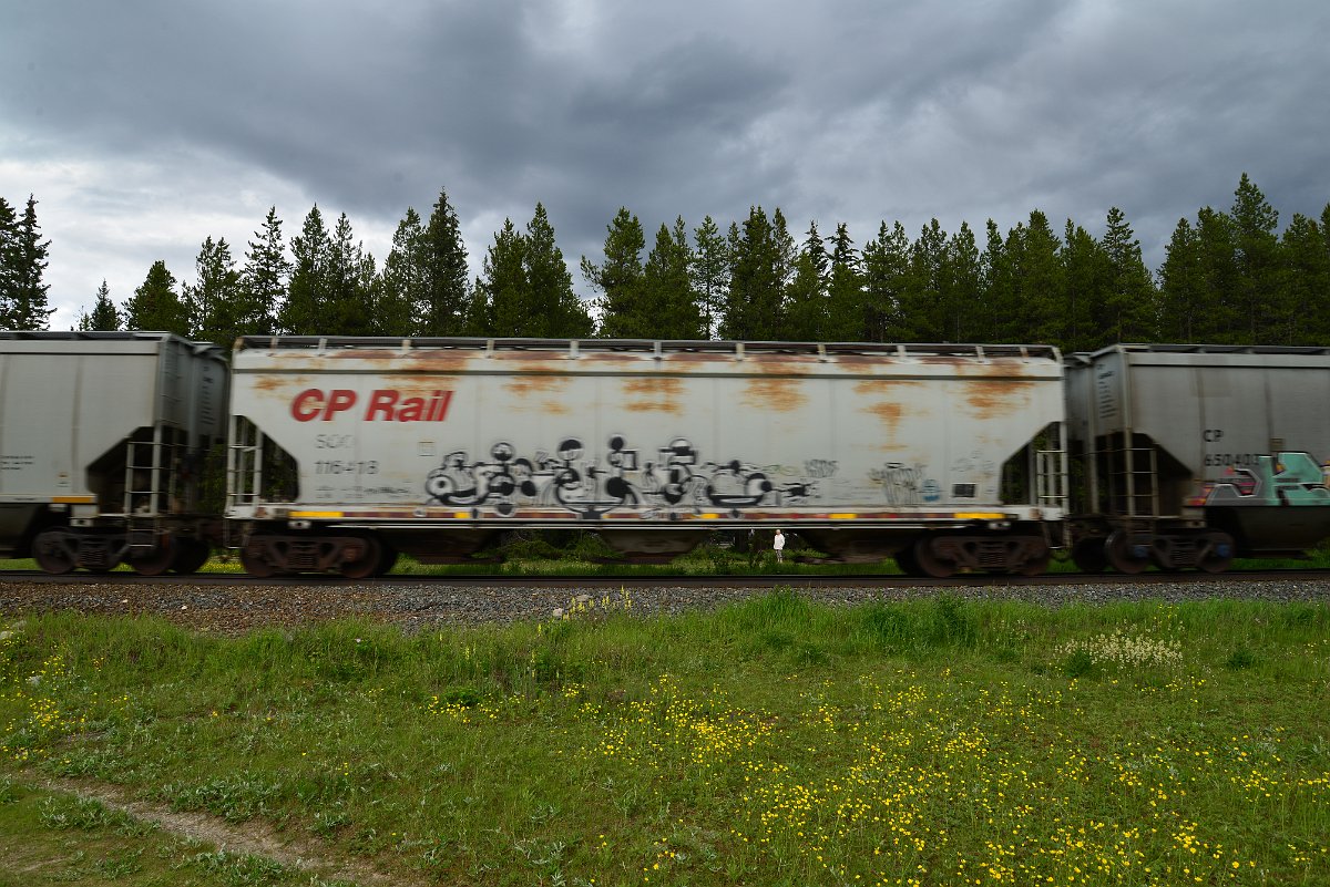 DSC_2918.JPG