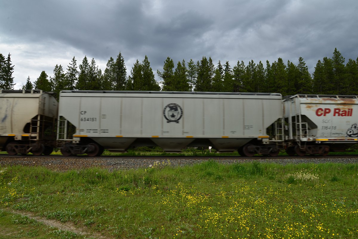 DSC_2919.JPG