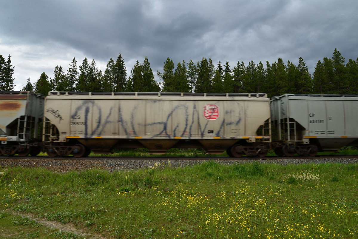 DSC_2920.JPG