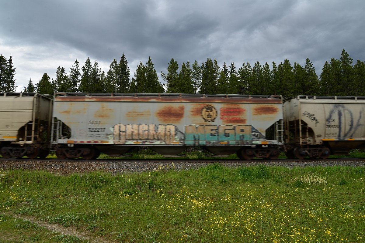 DSC_2921.JPG