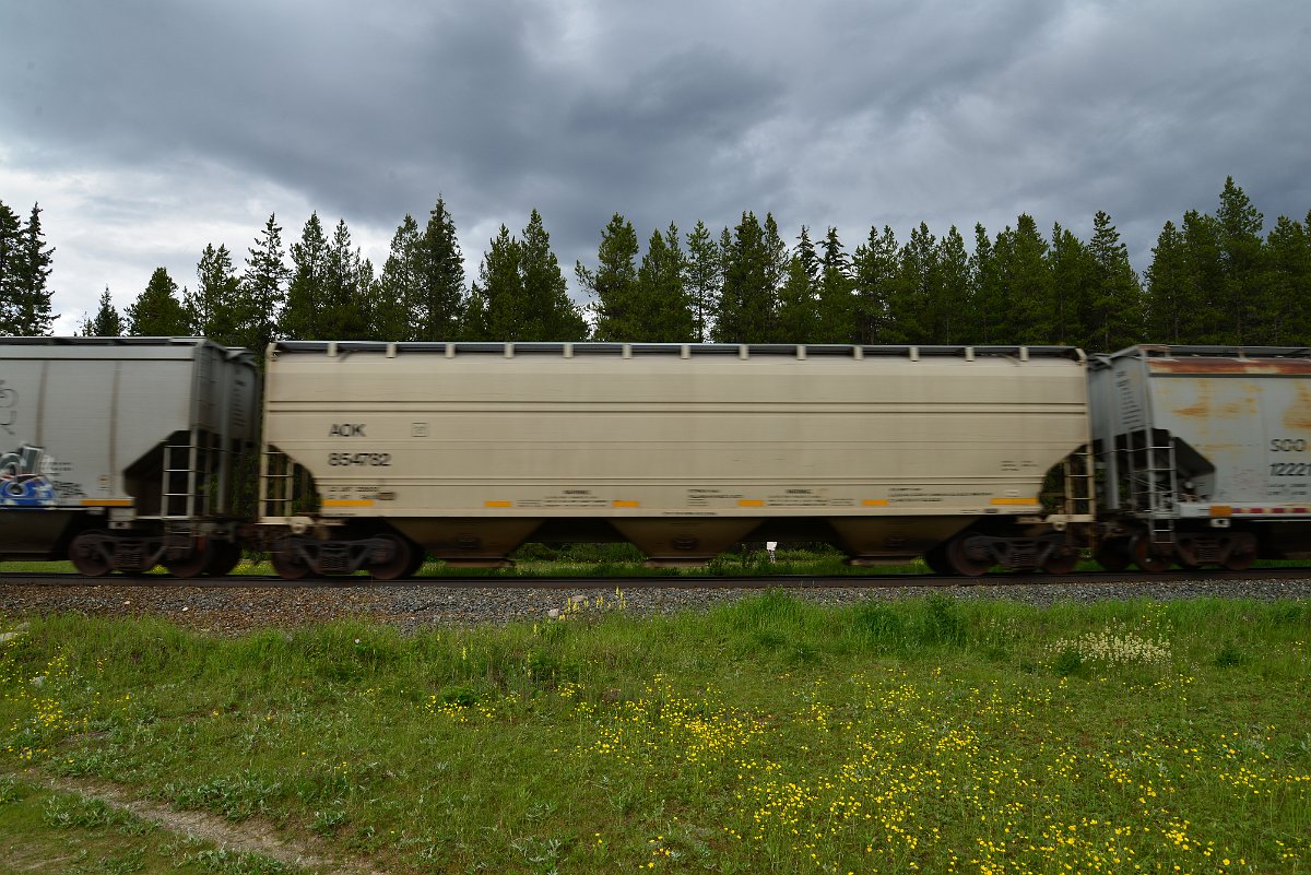 DSC_2922.JPG