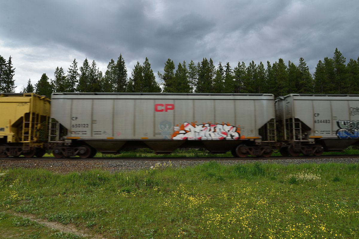 DSC_2924.JPG