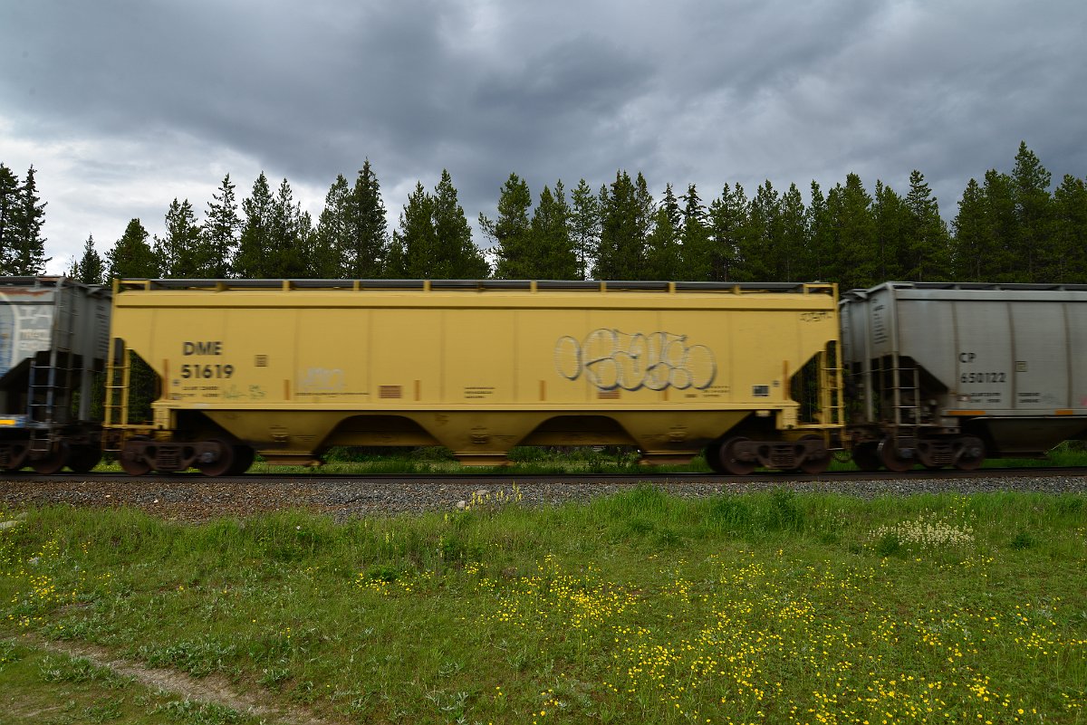 DSC_2925.JPG