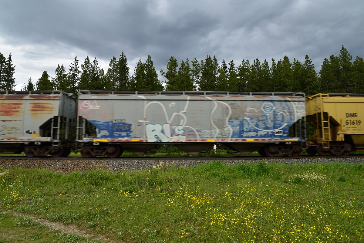 DSC_2926.JPG