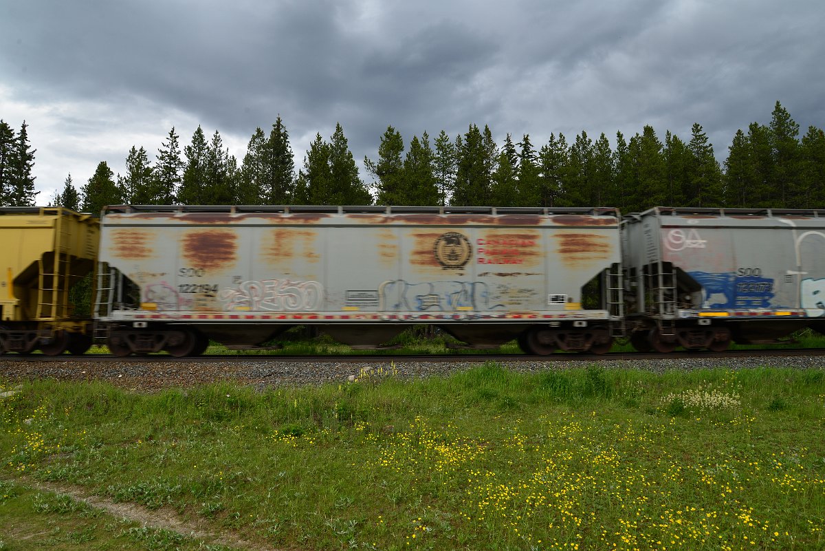 DSC_2927.JPG
