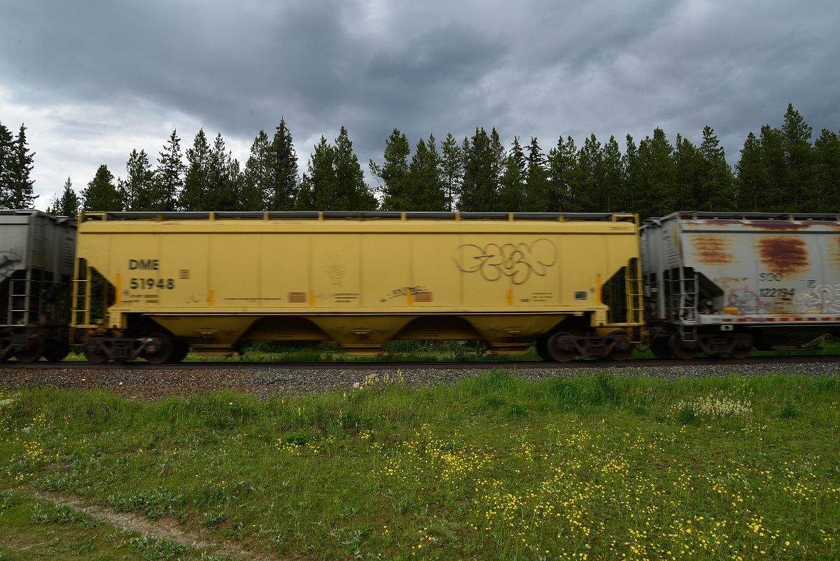 DSC_2928.JPG