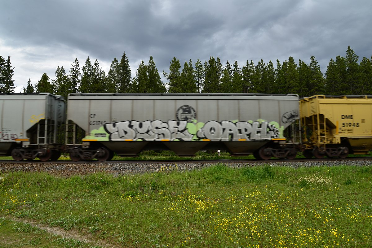 DSC_2929.JPG