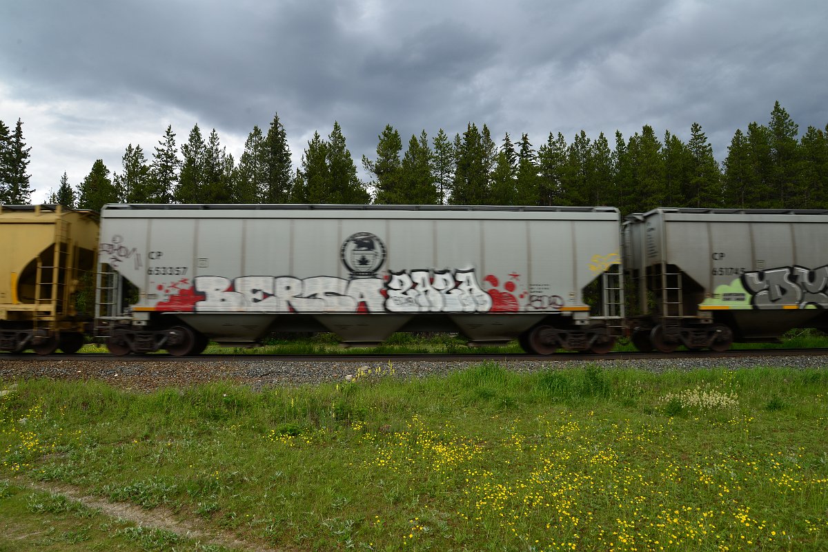 DSC_2930.JPG
