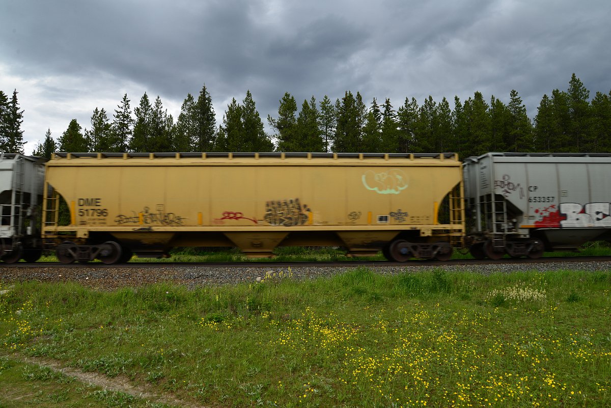 DSC_2931.JPG