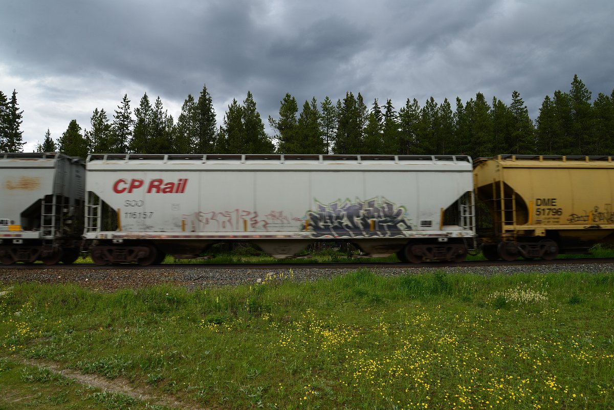 DSC_2932.JPG