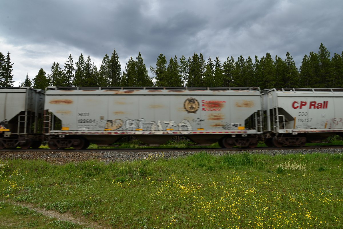 DSC_2933.JPG