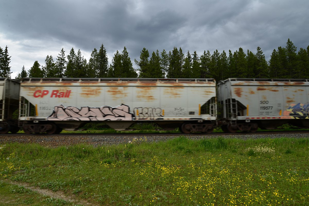 DSC_2936.JPG