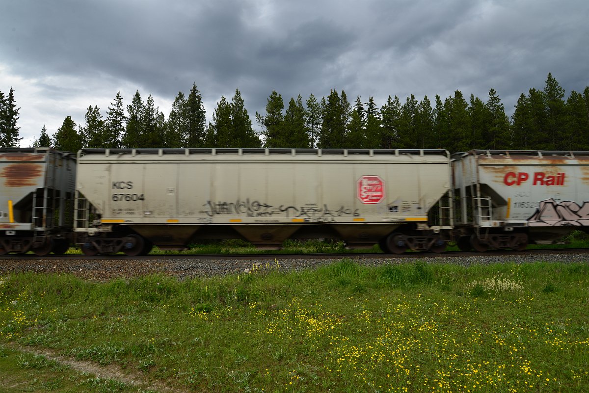 DSC_2937.JPG