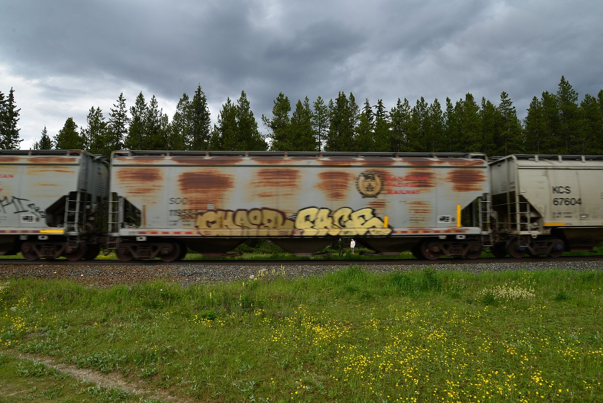 DSC_2938.JPG