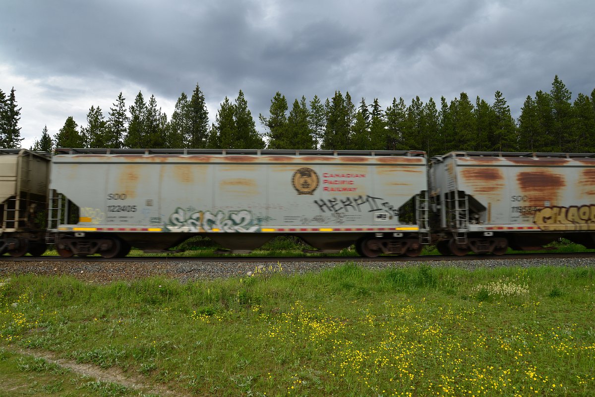DSC_2939.JPG