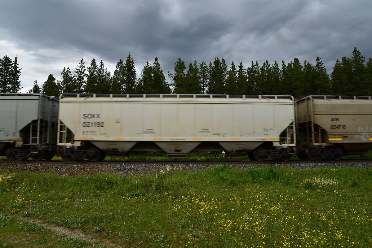 DSC_2941.JPG