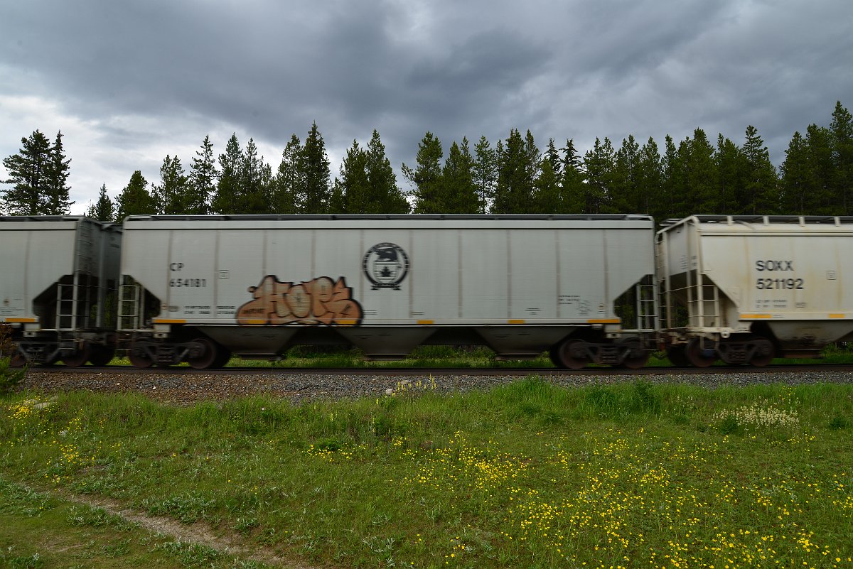 DSC_2942.JPG
