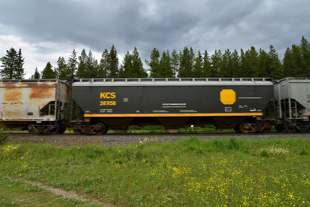 DSC_2944.JPG