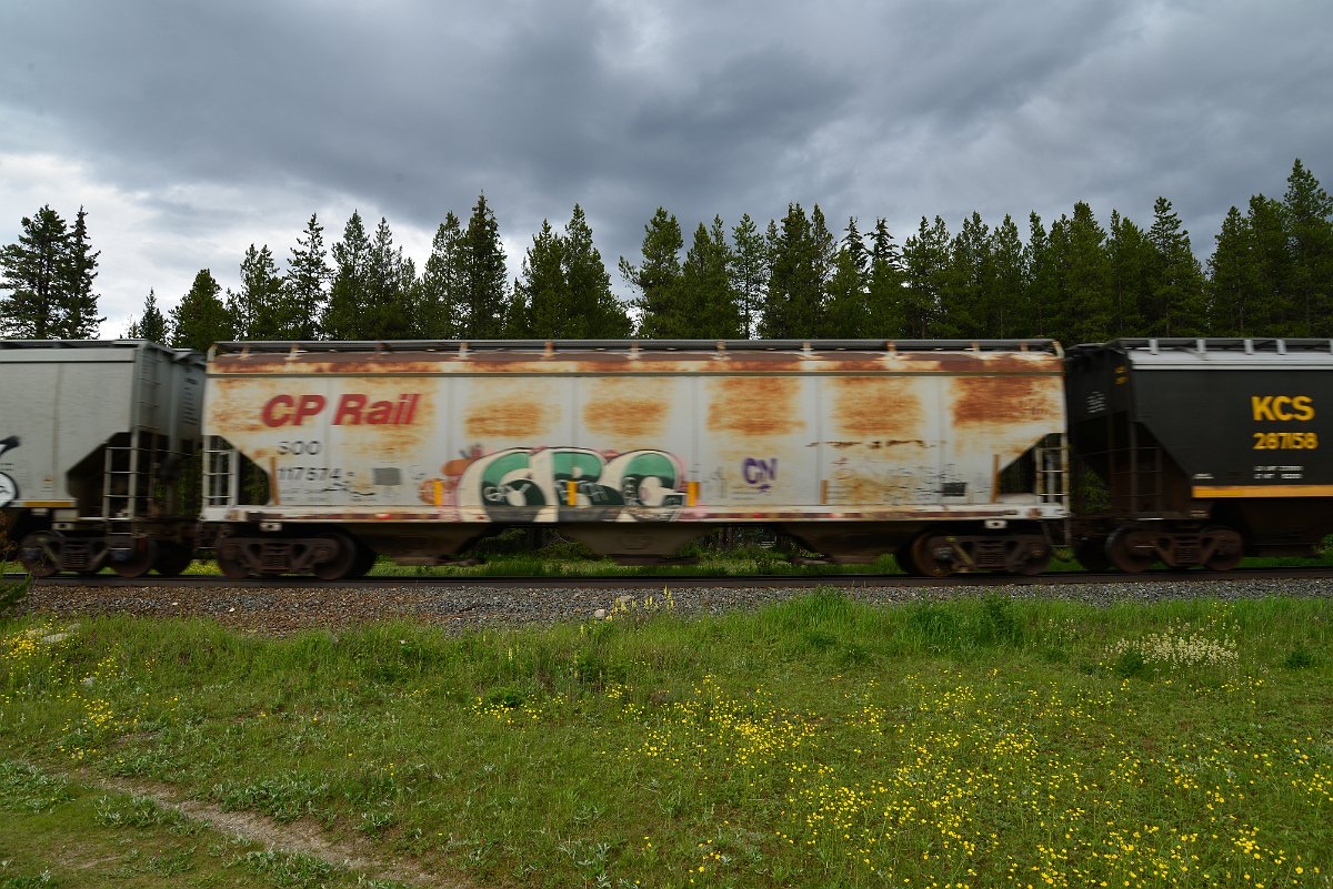 DSC_2945.JPG