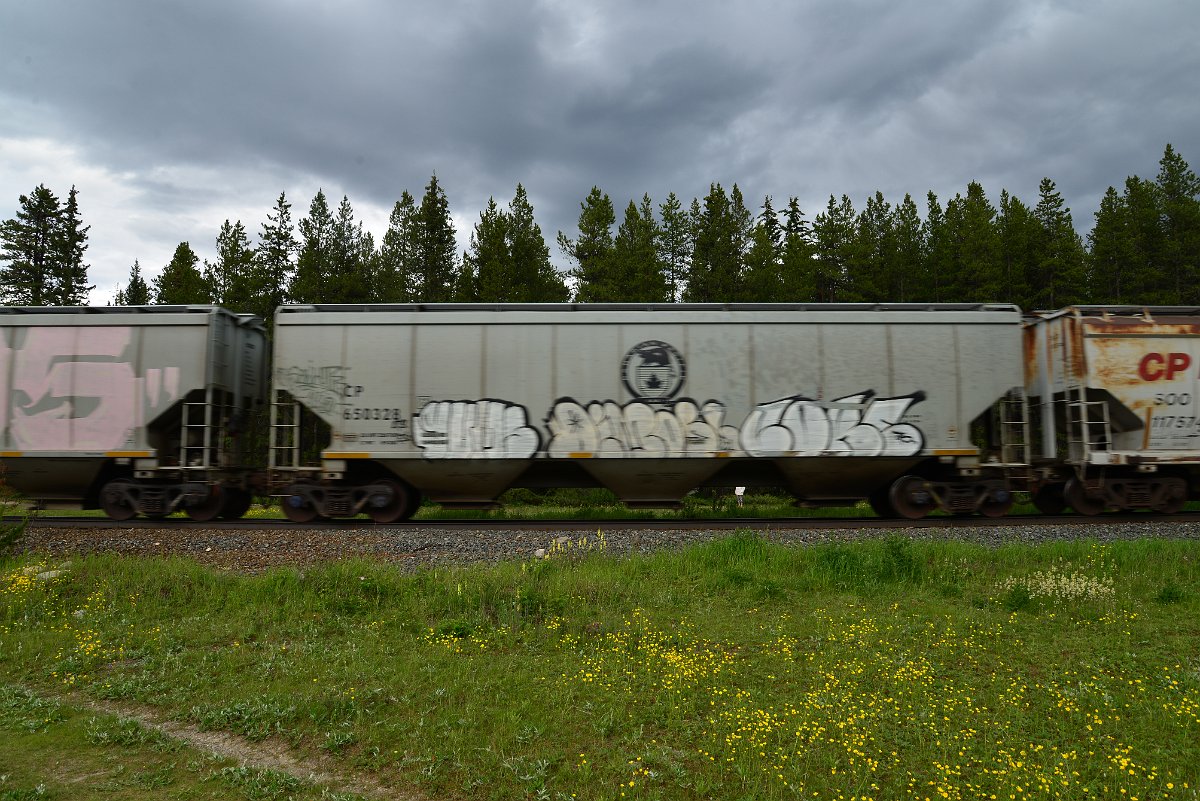 DSC_2946.JPG