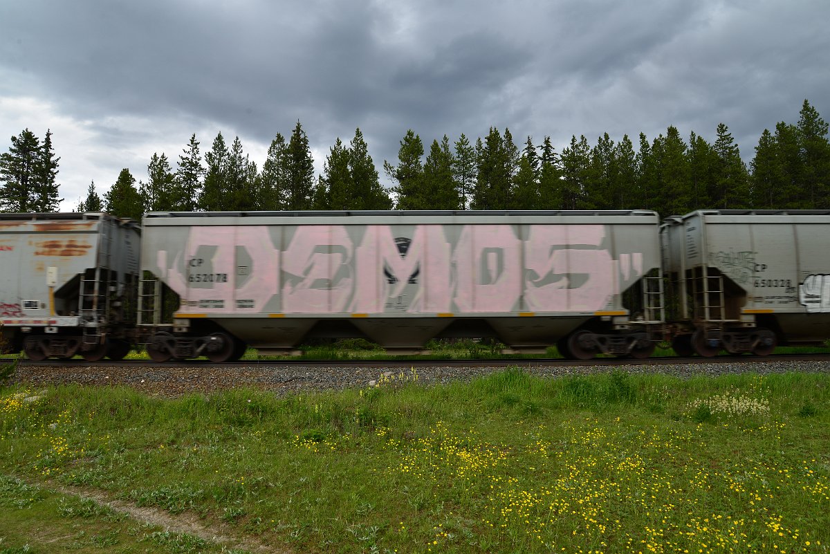 DSC_2947.JPG